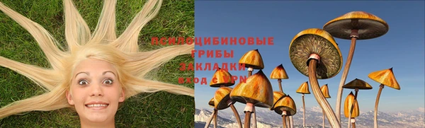 ГАЛЛЮЦИНОГЕННЫЕ ГРИБЫ Нефтекумск