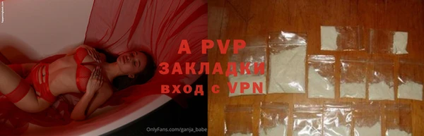 ГАЛЛЮЦИНОГЕННЫЕ ГРИБЫ Нефтекумск